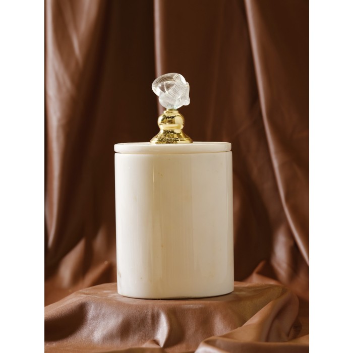 Moderna Home