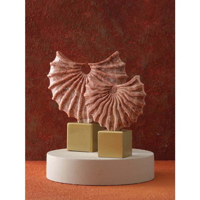 Moderna Home