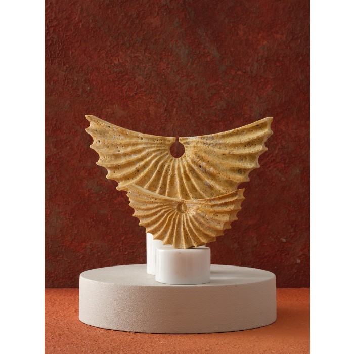 Moderna Home