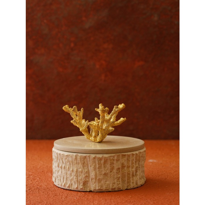 Moderna Home