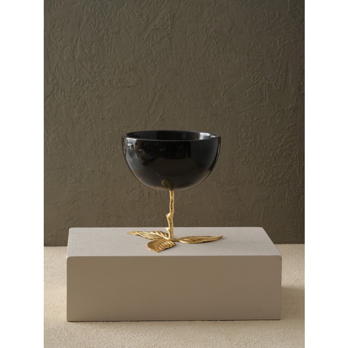 Moderna Home