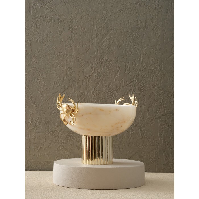 Moderna Home