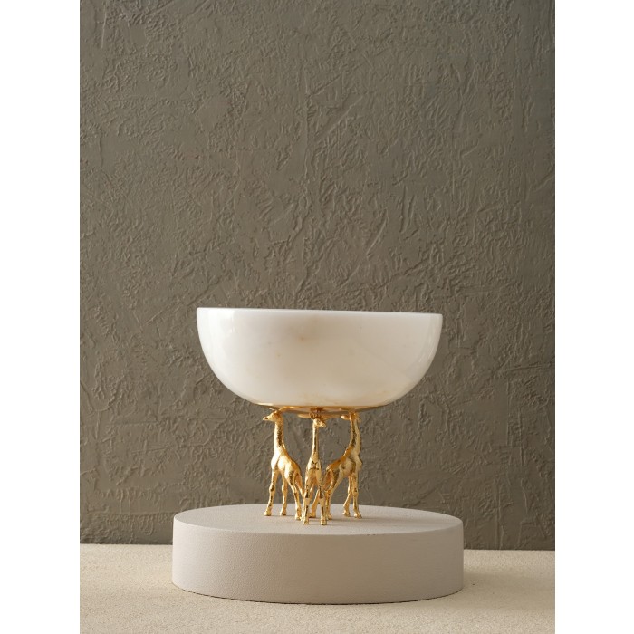 Moderna Home