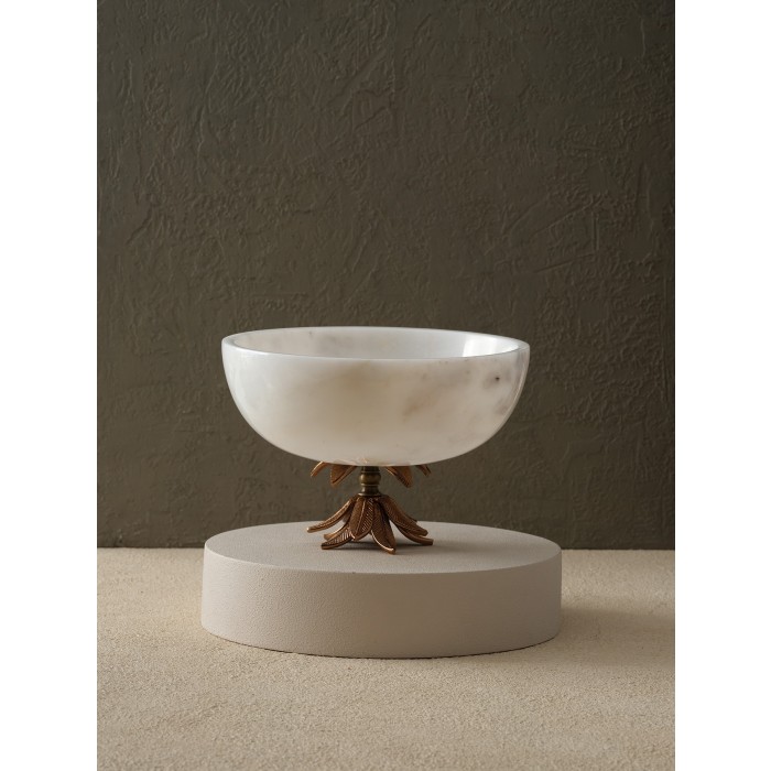 Moderna Home