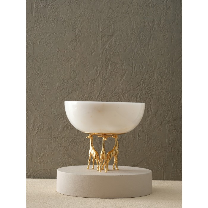 Moderna Home