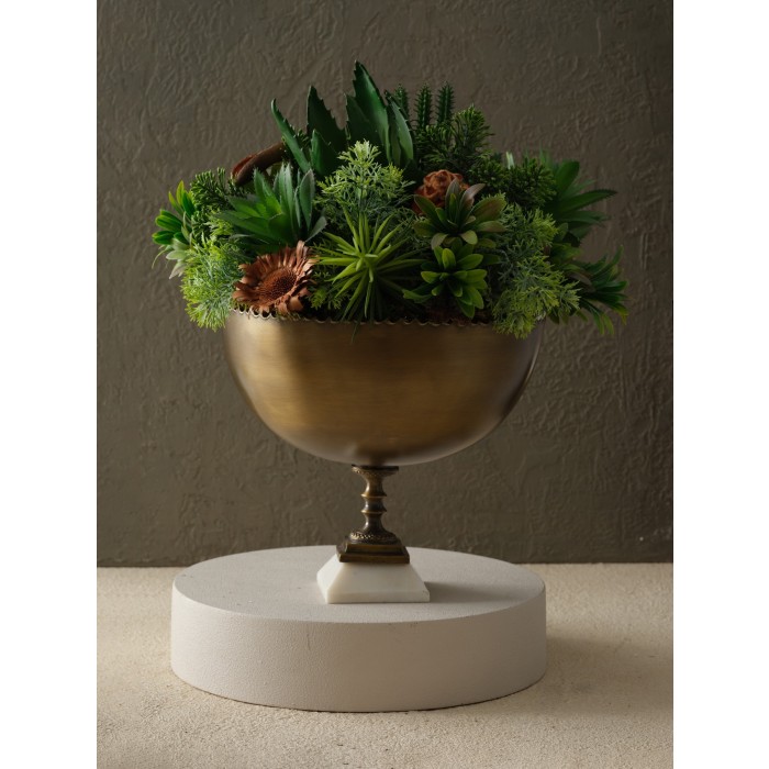 Moderna Home
