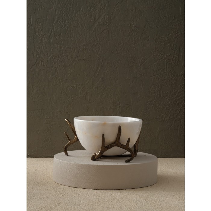 Moderna Home