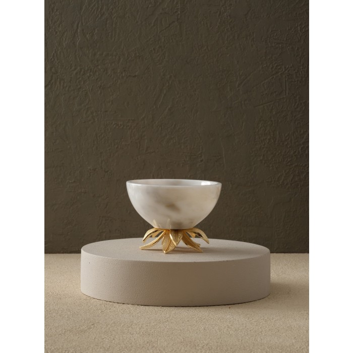 Moderna Home