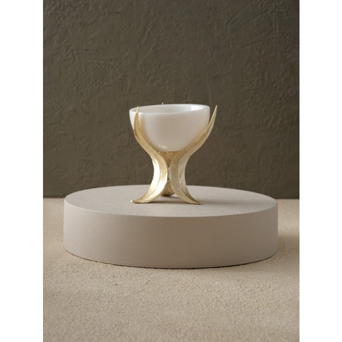 Moderna Home