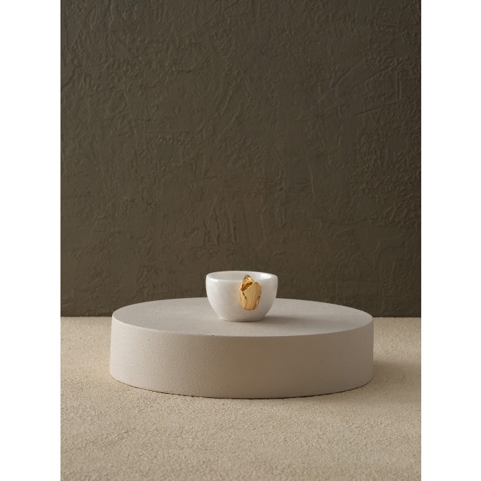 Moderna Home