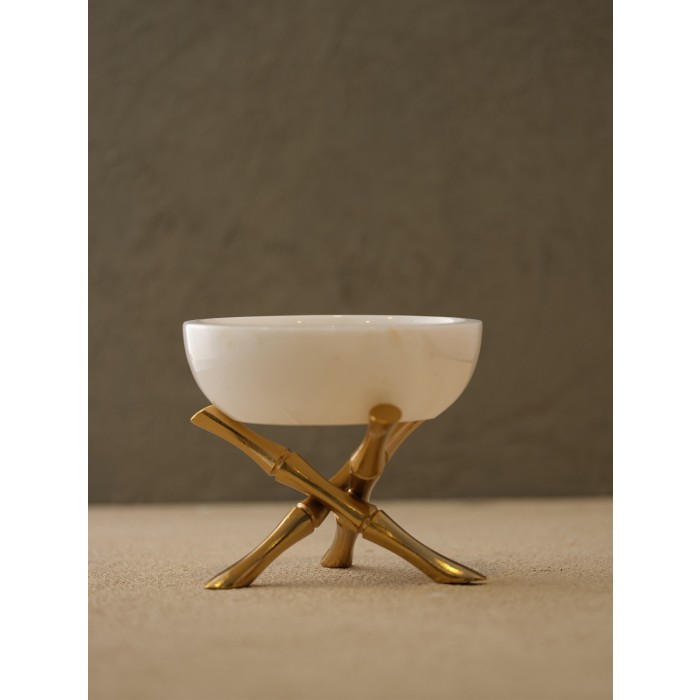 Moderna Home