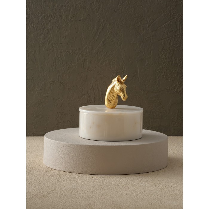 Moderna Home