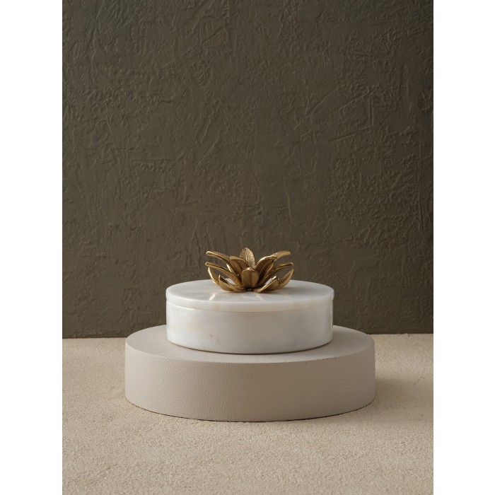 Moderna Home