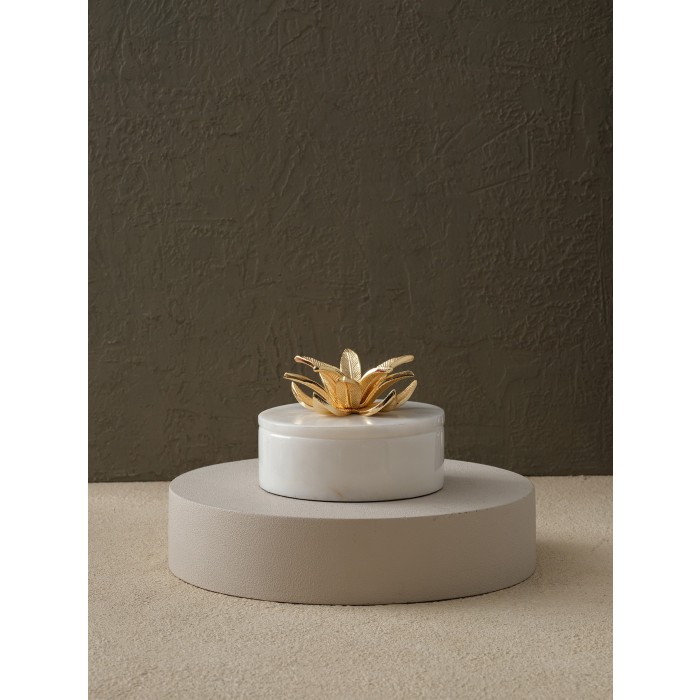 Moderna Home