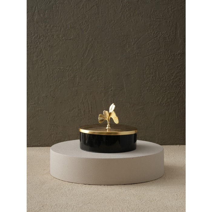 Moderna Home