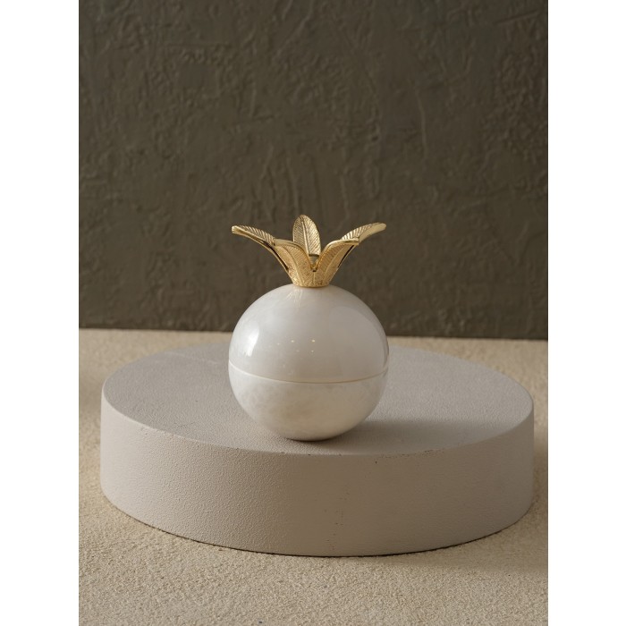 Moderna Home