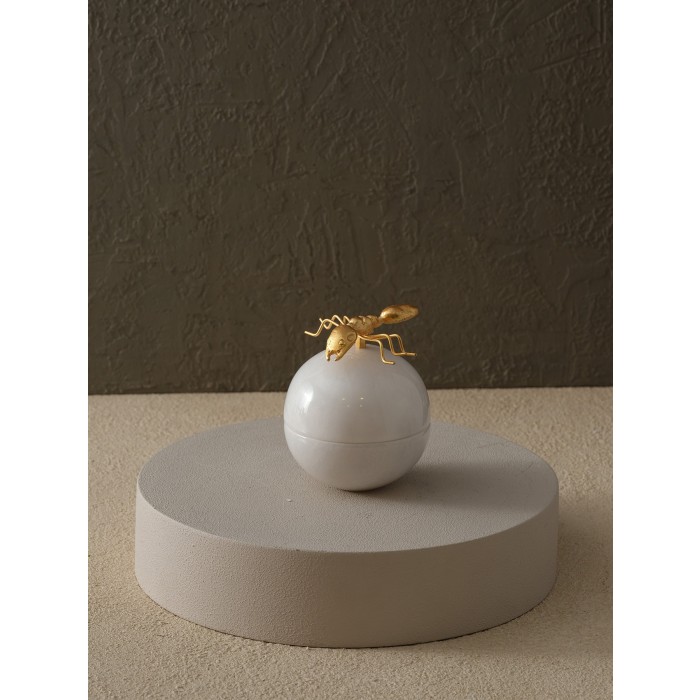 Moderna Home