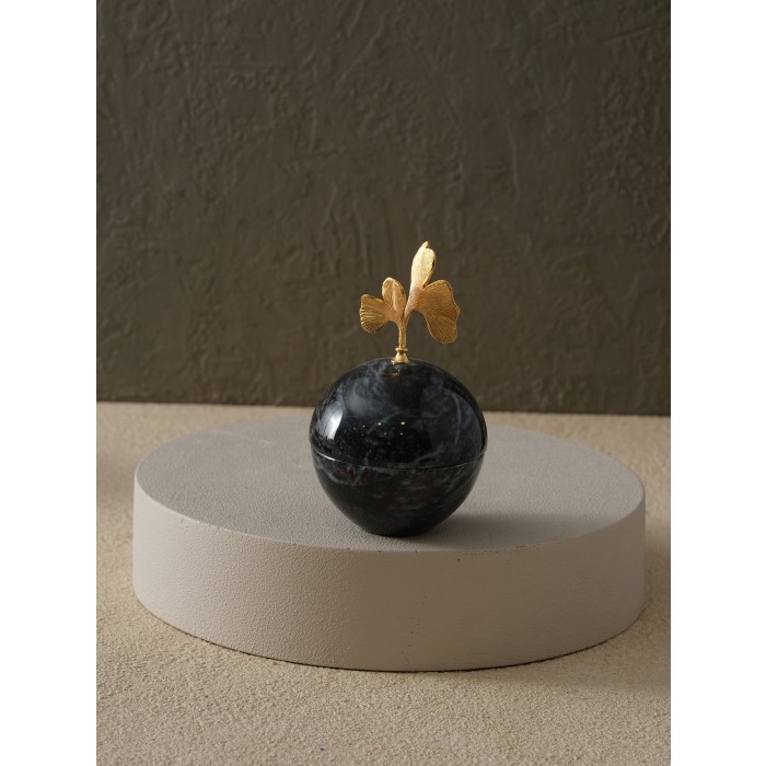 Moderna Home