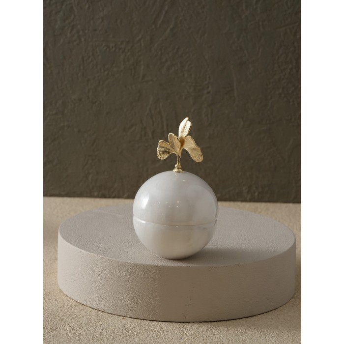 Moderna Home