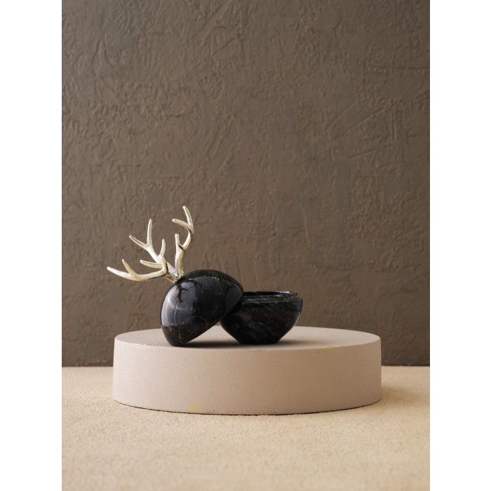Moderna Home