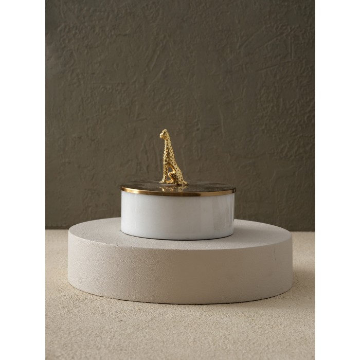 Moderna Home