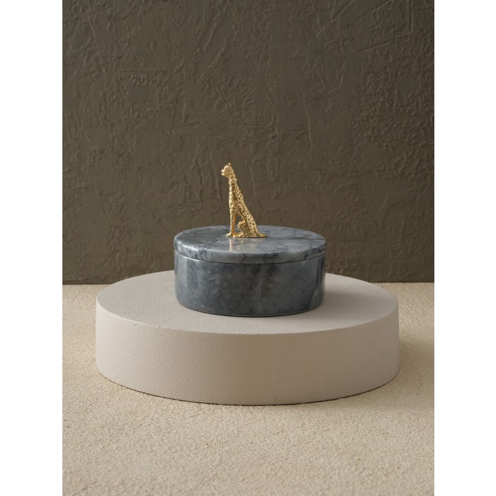 Moderna Home