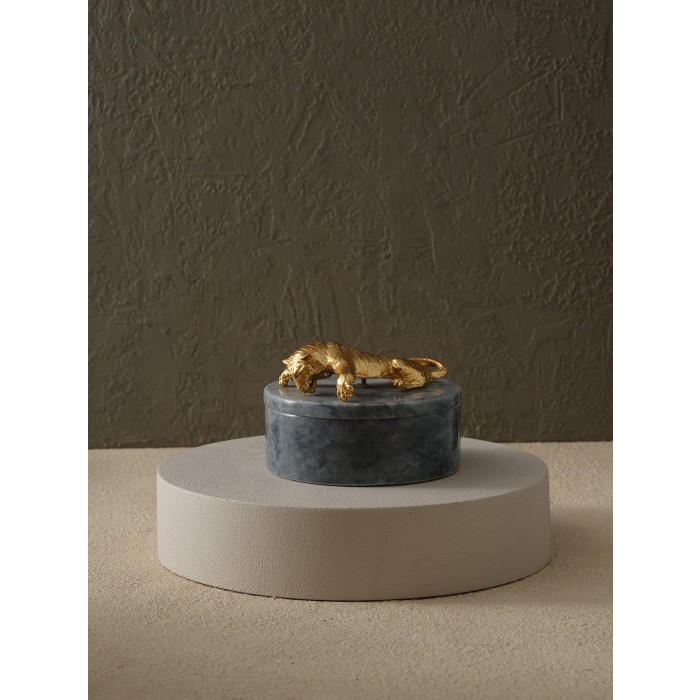 Moderna Home