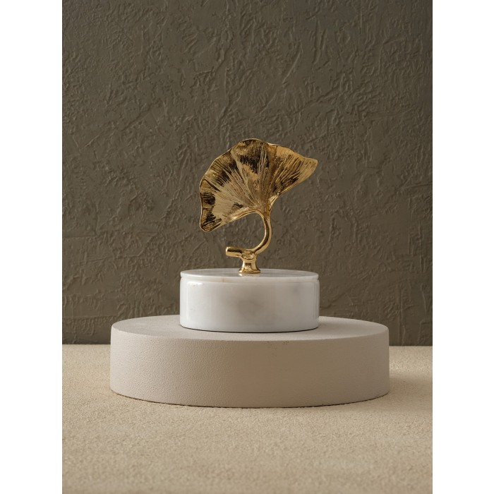 Moderna Home