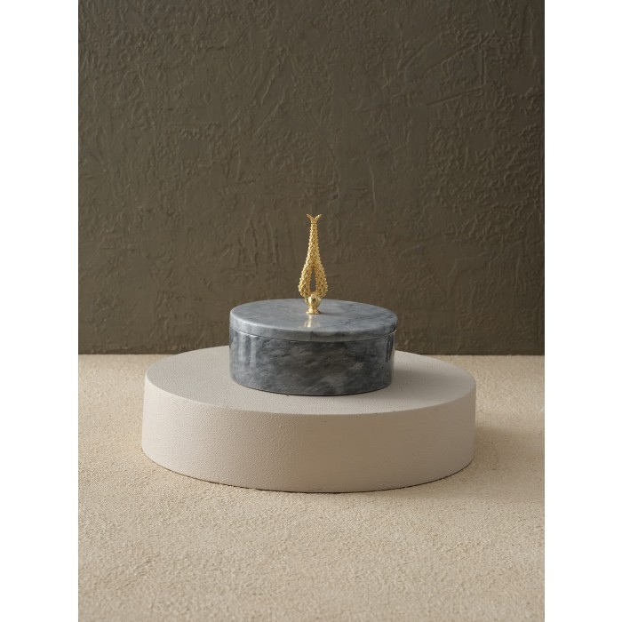 Moderna Home
