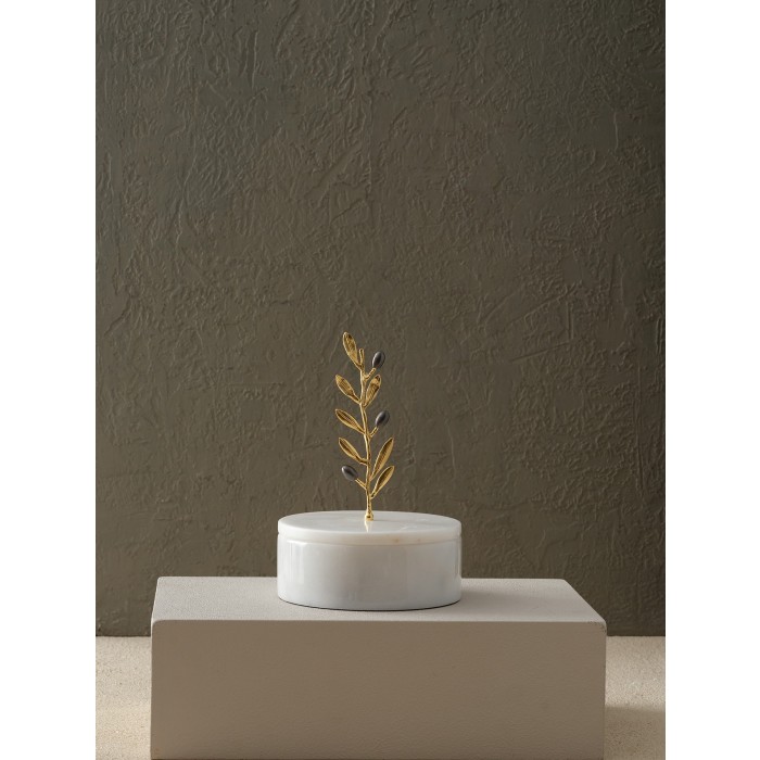 Moderna Home