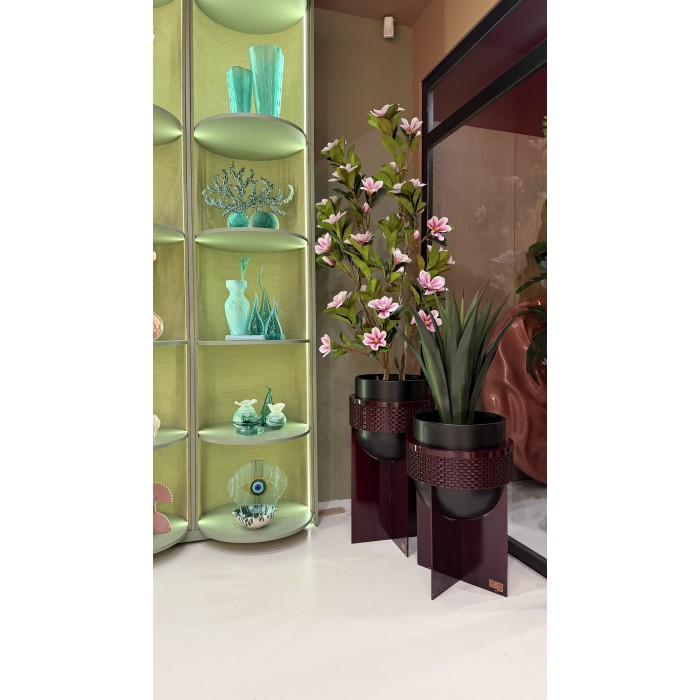 Moderna Home