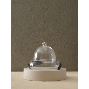 Dekoratif Renkli Cam Fanus