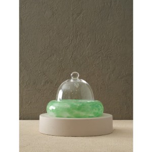 Dekoratif Renkli Cam Fanus