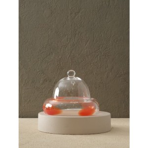 Dekoratif Renkli Cam Fanus