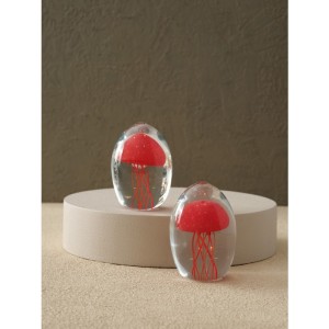 Cam Deniz Anası Kumlamasız