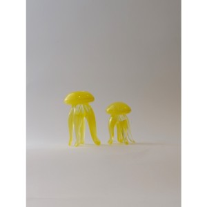 Ayaklı Cam Deniz Anası - Büyük Boy