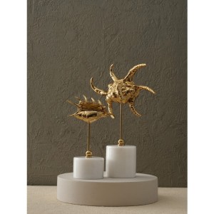 Pirinç Salyangoz - Büyük Boy