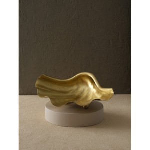 Pirinç Altın Midye